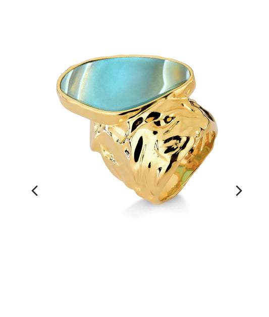 HERANCA RING- AMAGO - COLLAB ALEHA - size 7